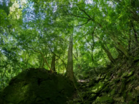 Riverside Lodge Mori No Kuni Headstream Shimanto Uwajima otelleri