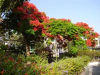 Sunsuites Carolina Hotels in San Agustín