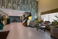 Garner Hotel Londonderry - Manchester by IHG - parking