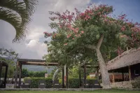 Nimue Marina Residence & Hotel Boutique Hotels in Chapala