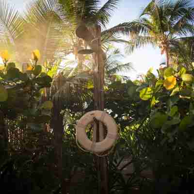 Encantada Tulum Hotel Exterior