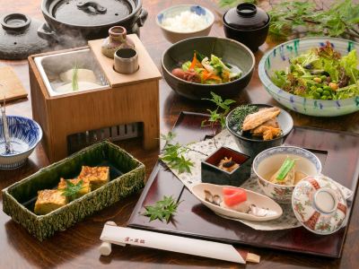料理 美食と自家源泉を愉しむ静寂の宿　秘湯・鷹ノ巣温泉　鷹の巣館の写真