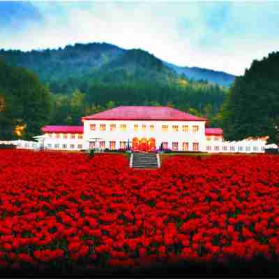 The LaLit Grand Palace Srinagar Hotel Exterior