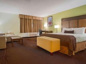 Best Western Plus Holland Inn  Suites