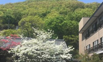 Ryokan Hinode Onsen