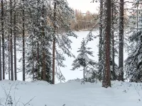 Viipusjärvi 11 - 3-Star