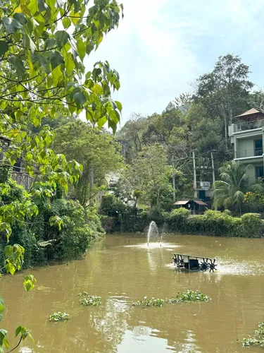 รูปภาพของKamala townhome with sea view terrace and pool