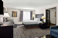 Best Western Saluki Inn