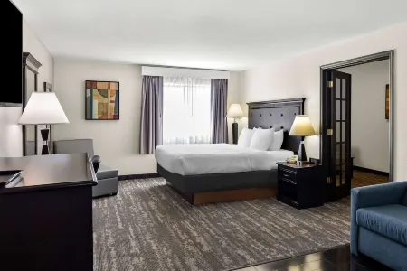 Best Western Saluki Inn