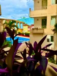 Zihuatanejo Centro - Swimmingpools