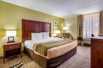 Comfort Inn Newport News - Hampton I-64