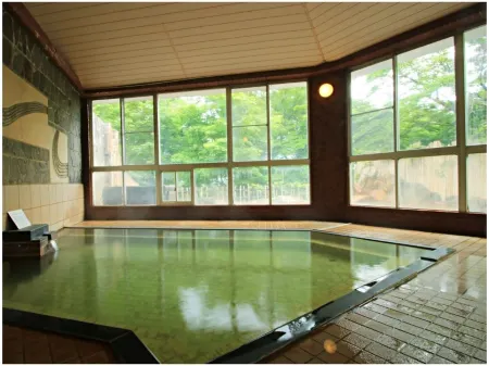 Miyamasou Отели в г. уезд Нисисиракава