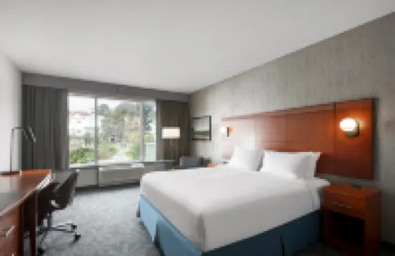 Courtyard St. John's Newfoundland Hotels in 