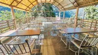 Prim Rose Hotels in Nainital