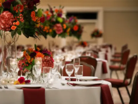 斯科茨代爾天堂谷希爾頓逸林度假酒店 斯科特斯德酒店