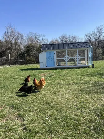 82 Acre Hobby Farm with Lincoln Log Cabin