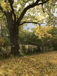 Peacock Garden Cottage - Discounted for Winter Month Rental - ブティック