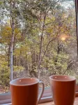 Tiny Timber, Tiny Cabin with a Scandinavian Flair! Sauna & Plunge Tub!