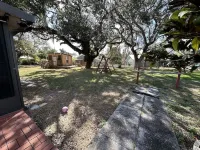 Under the Oaks Un-refined Florida Living