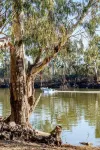 Loxton Riverfront Apartment
