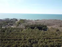 West Olive Home Walk to Lake Michigan.