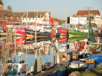 Apartment meadow view