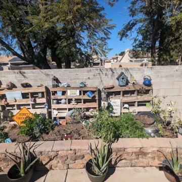 Quiet home next to Freestone Park & minutes from historic downtown Gilbert!