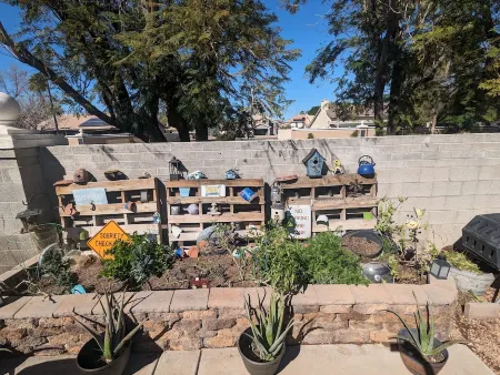 Quiet home next to Freestone Park & minutes from historic downtown Gilbert!