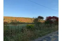 Valley View Farm Retreat