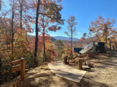 Cozy Cabin; no hurricane damage; we would love your support!