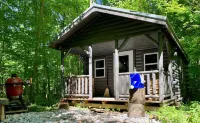 Camp Newbury: 100% off grid. 2 log cabins, pavilion, trails and shooting range.