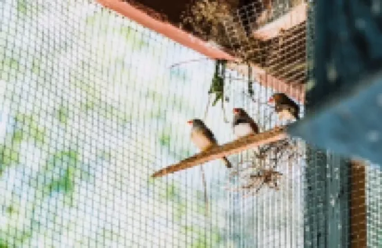 Private Master Bed/Bath with Separate Entrance and Porch.