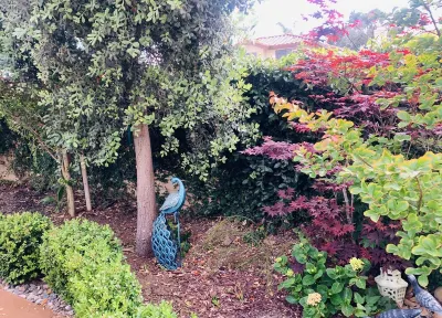 Stunning Dreaming Garden House Close to UTC and La Jolla 소랜도밸리 / 미라메사 호텔