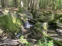 Gemütliche Ferienwohnung Ganz nah am Fluss