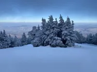 Right at the base of Pico, elevator building, Ski In Ski Out!