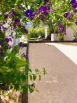 VILLA BENIDORM /SEA VIEWS, Last minute offer -50% - Wifi