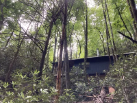 Remote cabin with creek and waterfall views 10 min from town