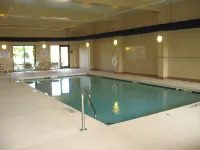 Hampton Inn & Suites Spartanburg-I-26 Westgate Mall - Pool