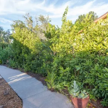 Quiet Oasis in Lovely Neighborhood