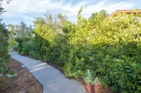 Quiet Oasis in Lovely Neighborhood