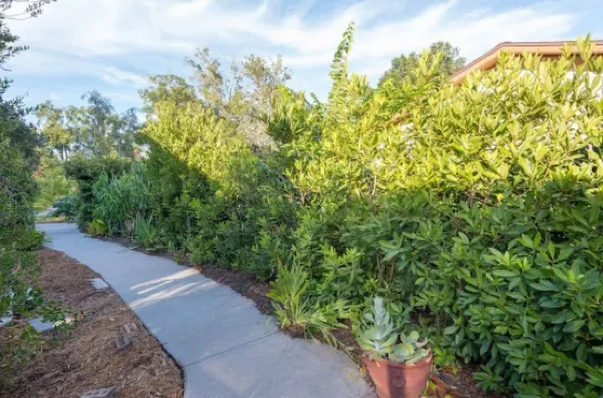 Quiet Oasis in Lovely Neighborhood