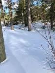 Close to Nature, Beaches, Hiking, Golf, Ski & Downtown