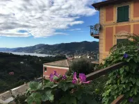 Casa con Vista Alle Porte del Parco di Portofino Codice Citra 010007-lt-0347