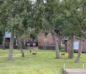 A Dream Come True Lake House  - The prettiest sunset view on the lake! Hotel a Leon County