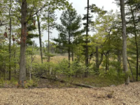 Cranberry Ridge - Ridge Top