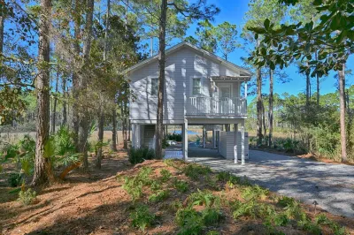 ★Luxuriously Romantic One-Of-A-Kind Treehouse w/Canoe, Fire Pit and More★ Hotels in 