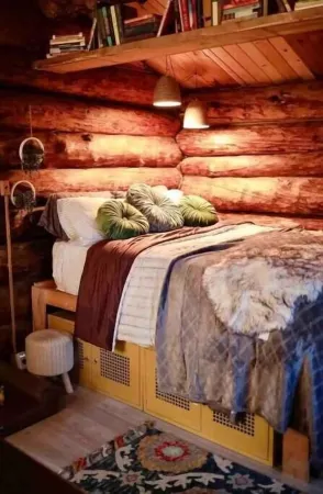 Aurora View Log Cabin – Authentic Alaskan Experience