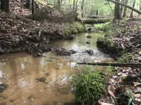 Suite w/ Private Entry and Nature Trails 40 cleaning) Hotels in Steele Creek