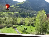 3 Bed, 2 Bath; Near Ski Resorts stream view Great Pool, Hot Tubs, Covered Garage