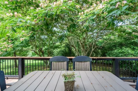 Secluded 5 BR Modern Cabin, 120 acres.  New River  Trail, Claytor Lake, VA tech